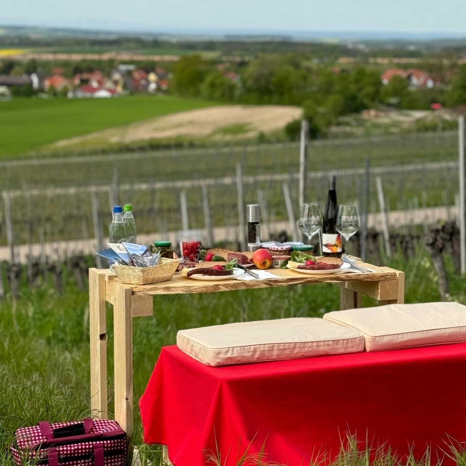 Lust auf Picknick im Weinberg